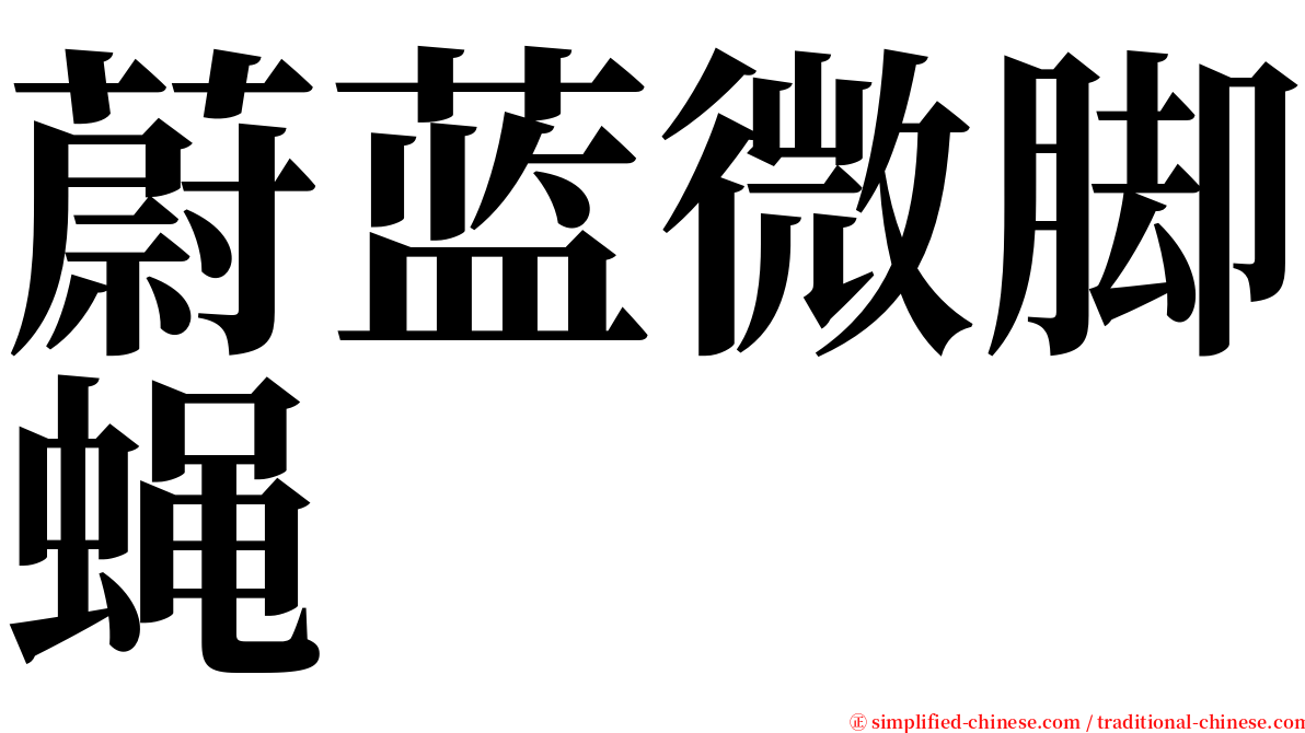 蔚蓝微脚蝇 serif font