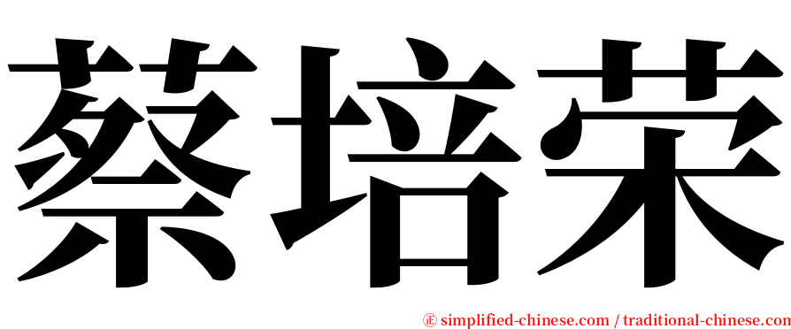 蔡培荣 serif font