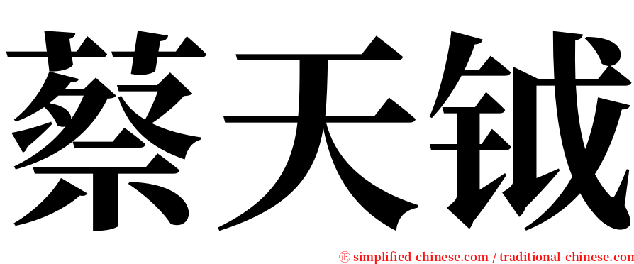 蔡天钺 serif font