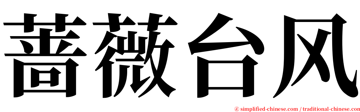 蔷薇台风 serif font