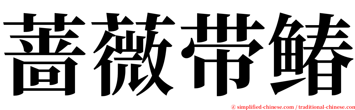 蔷薇带䲠 serif font