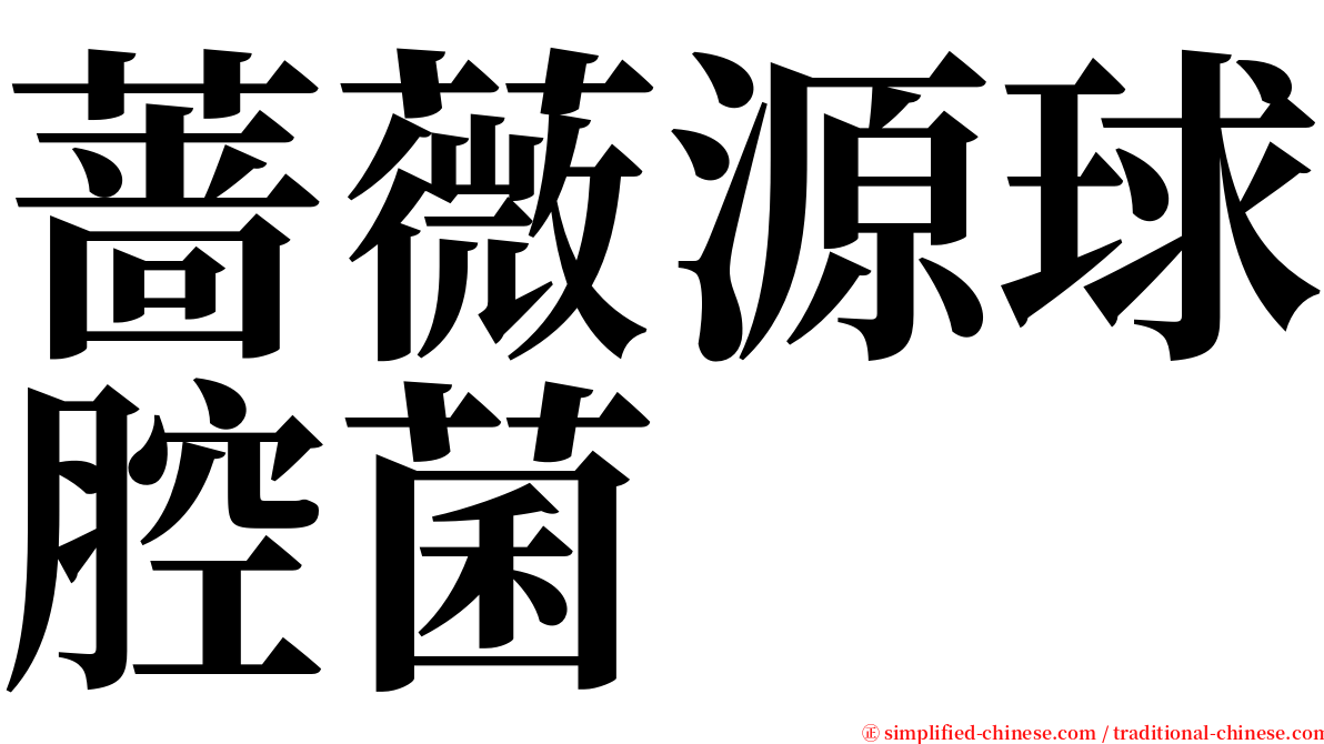 蔷薇源球腔菌 serif font