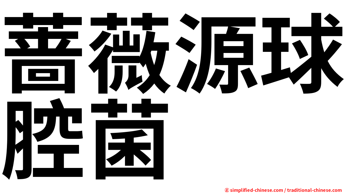 蔷薇源球腔菌