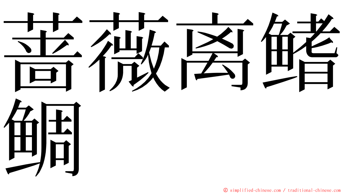 蔷薇离鳍鲷 ming font