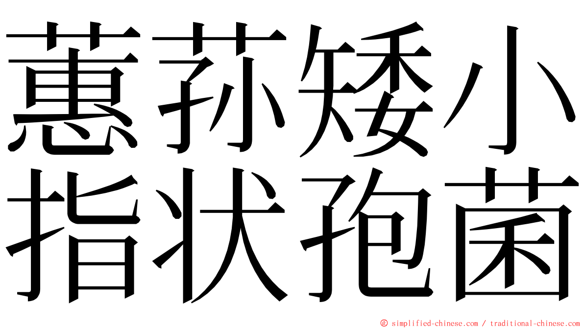 蕙荪矮小指状孢菌 ming font