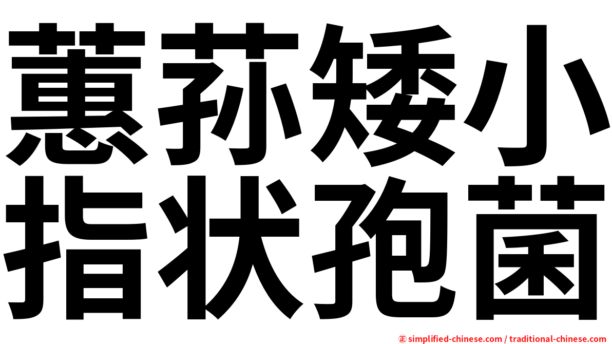 蕙荪矮小指状孢菌