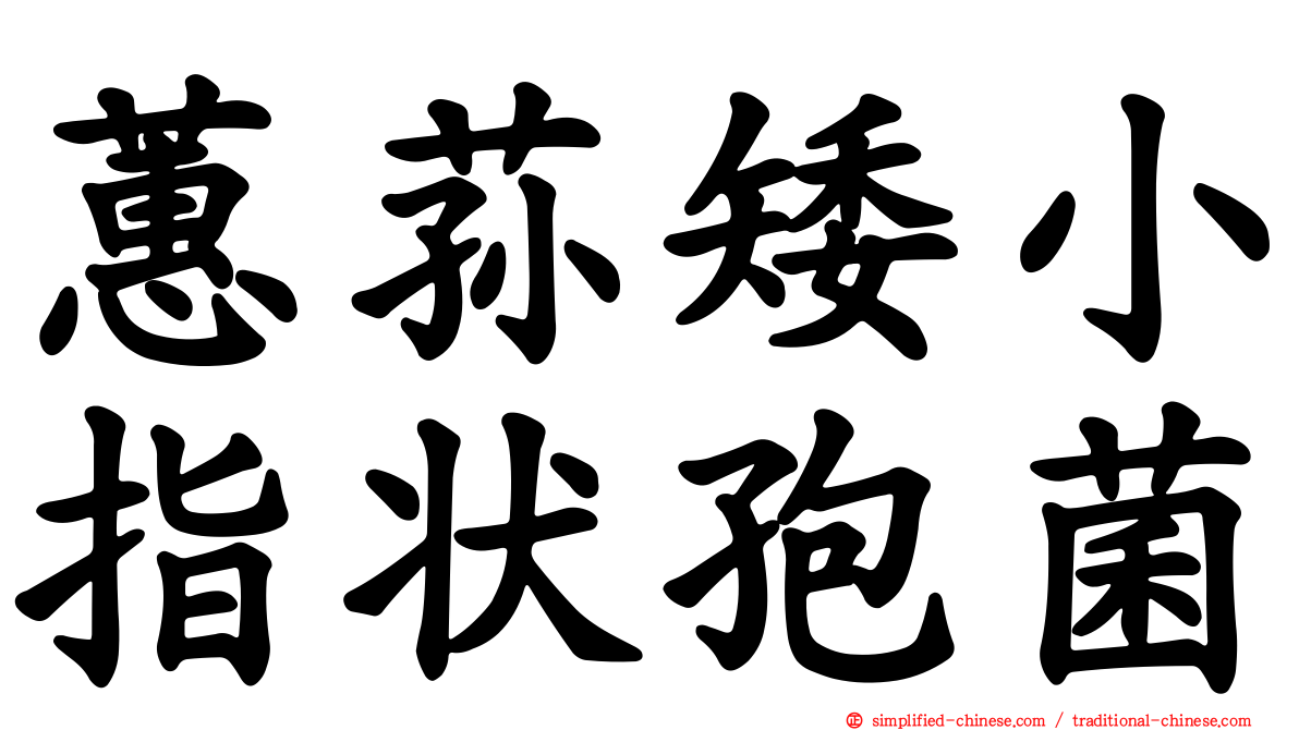 蕙荪矮小指状孢菌
