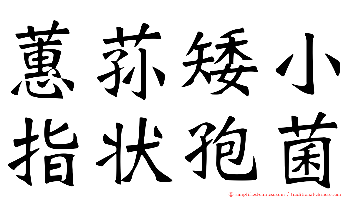 蕙荪矮小指状孢菌