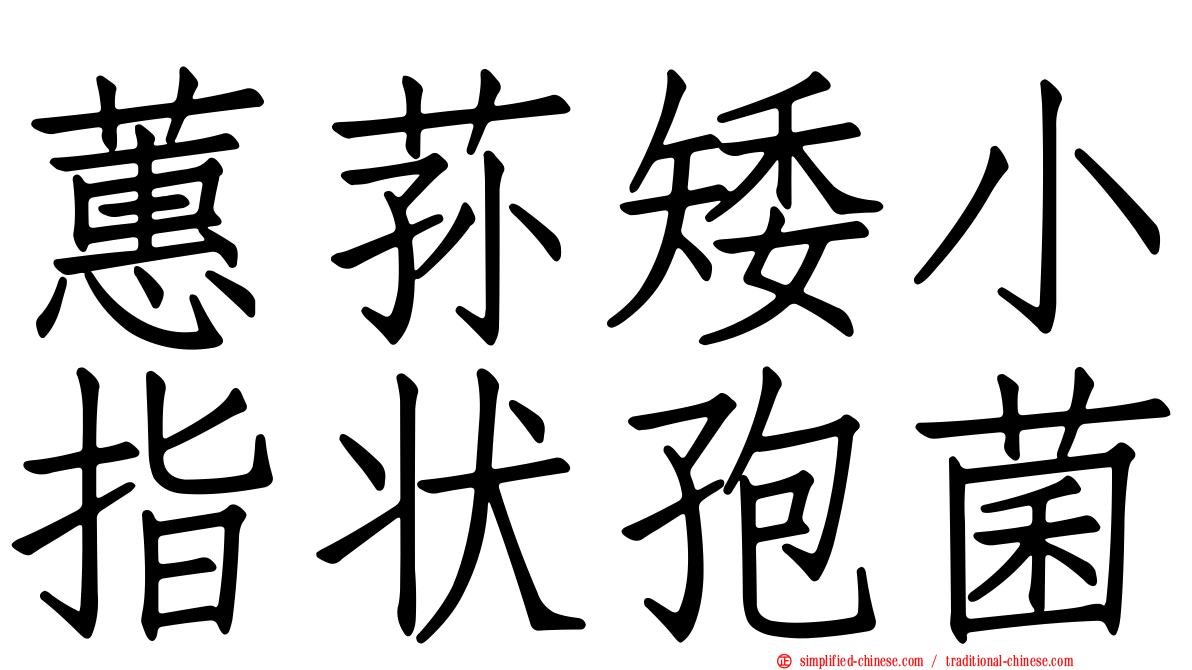 蕙荪矮小指状孢菌