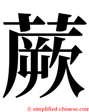 蕨 serif font