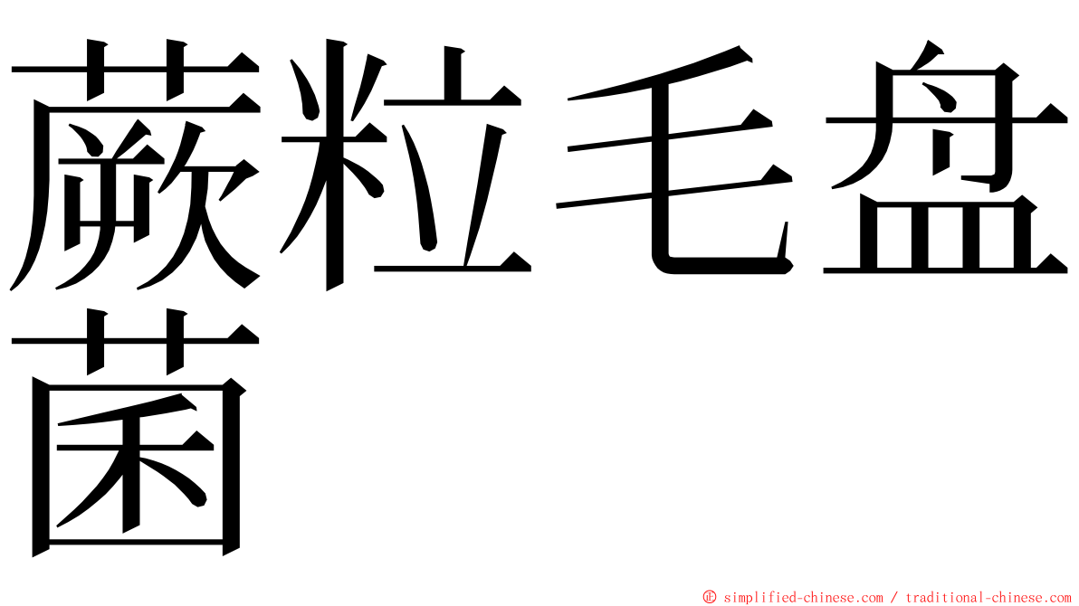 蕨粒毛盘菌 ming font