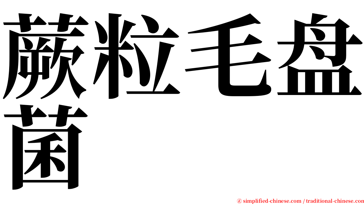 蕨粒毛盘菌 serif font