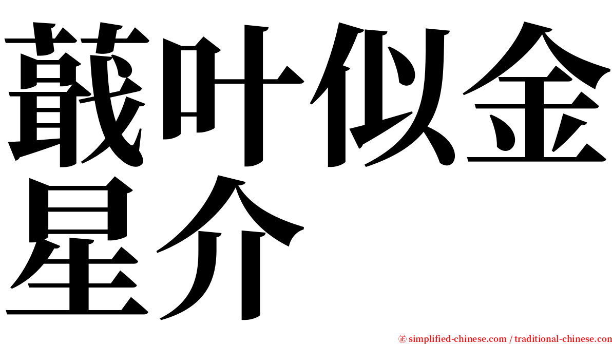 蕺叶似金星介 serif font