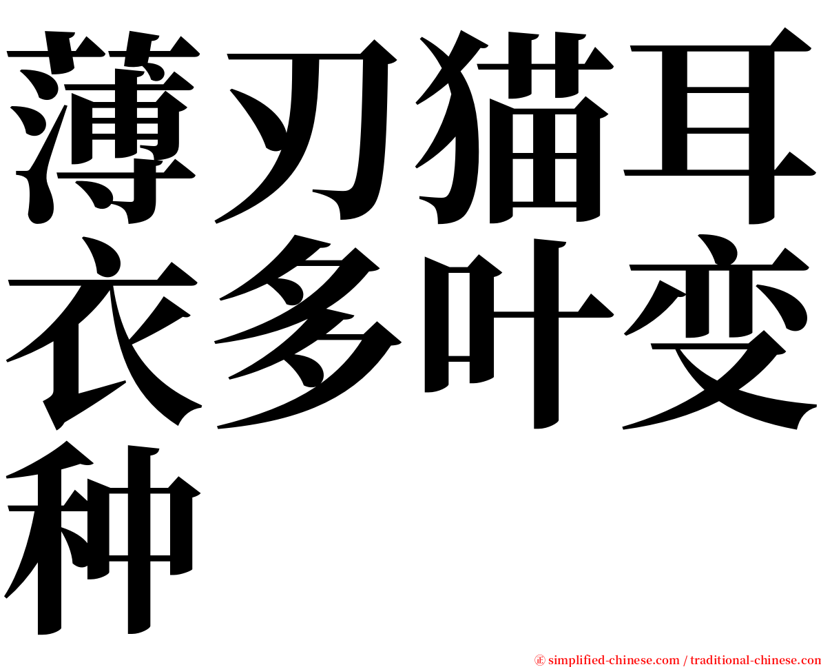 薄刃猫耳衣多叶变种 serif font