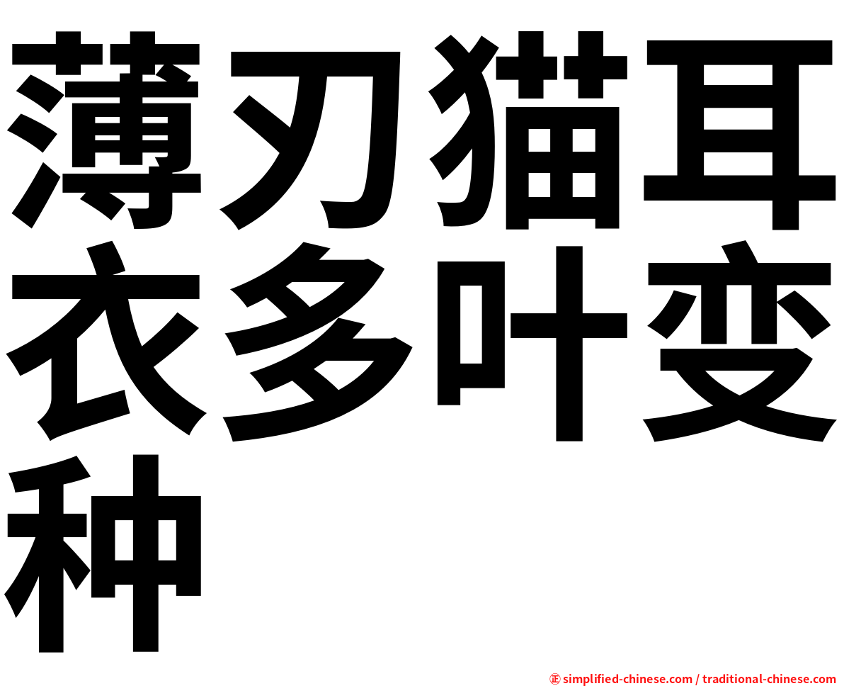 薄刃猫耳衣多叶变种