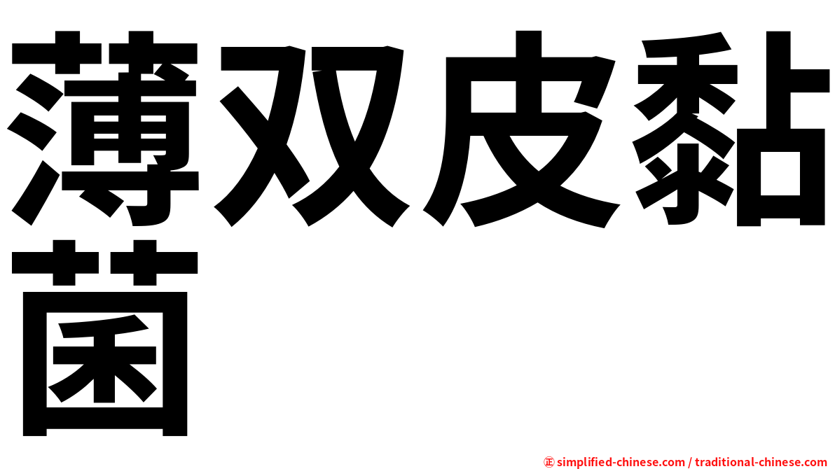 薄双皮黏菌