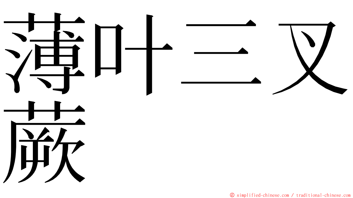 薄叶三叉蕨 ming font