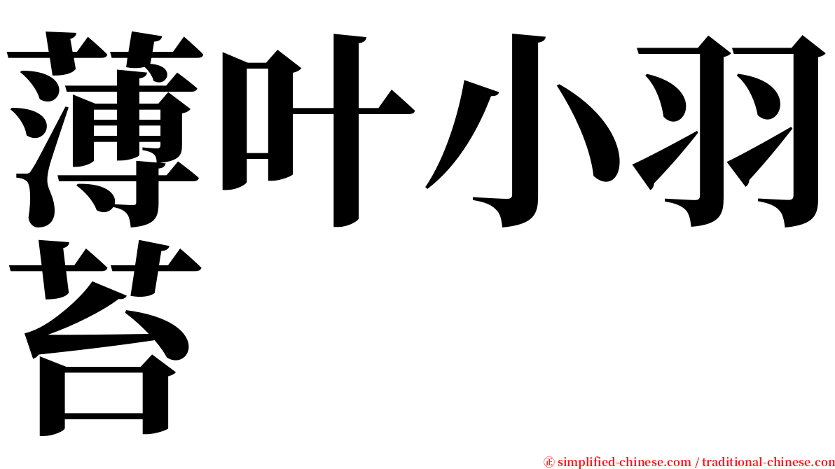 薄叶小羽苔 serif font