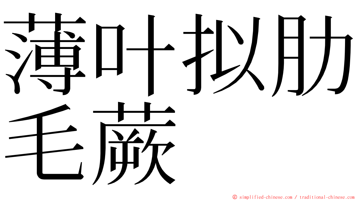 薄叶拟肋毛蕨 ming font