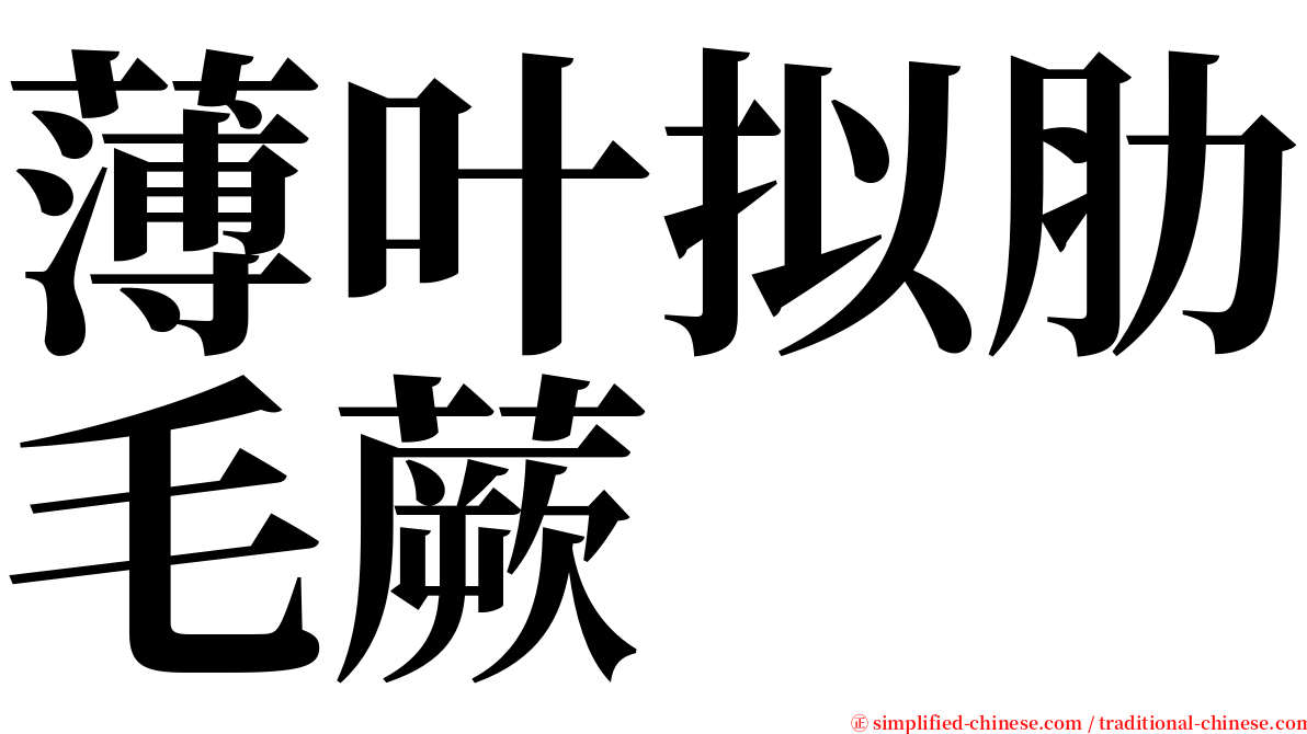 薄叶拟肋毛蕨 serif font