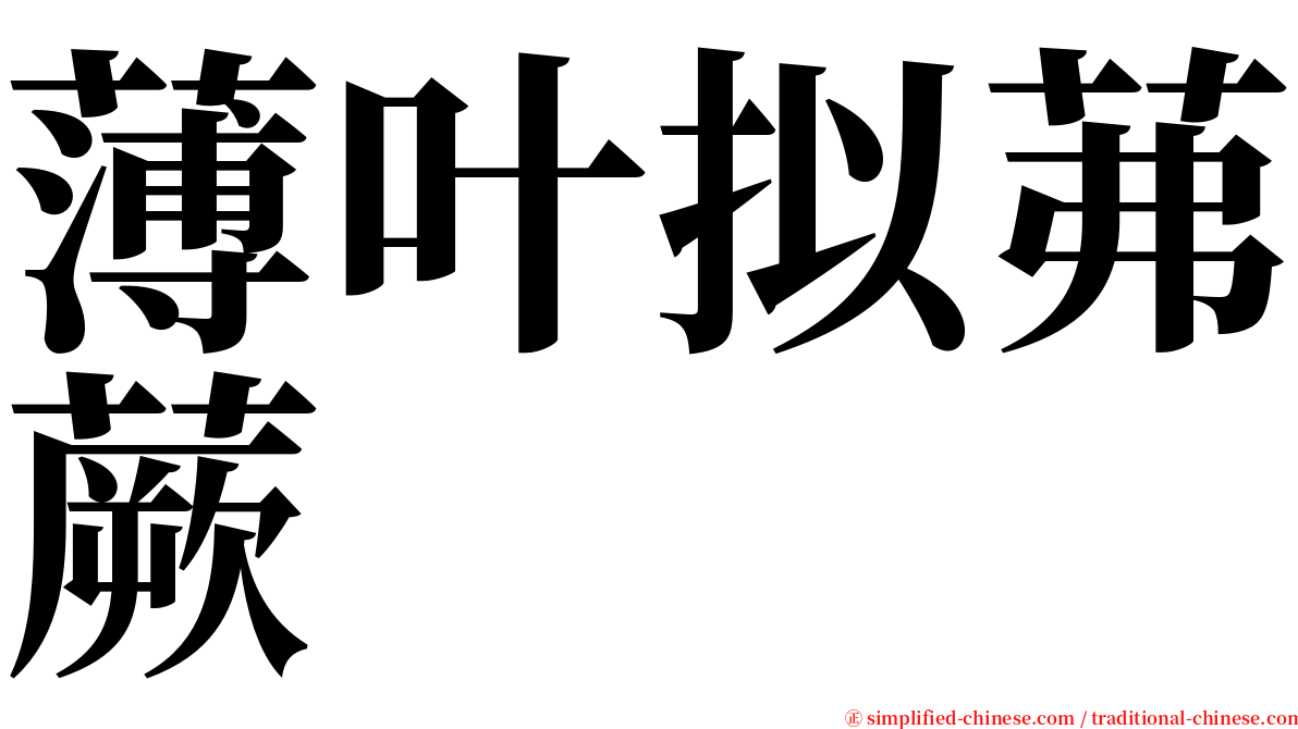 薄叶拟茀蕨 serif font