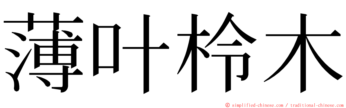 薄叶柃木 ming font