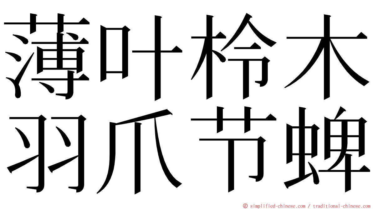 薄叶柃木羽爪节蜱 ming font