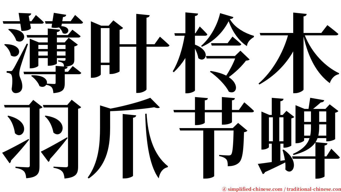 薄叶柃木羽爪节蜱 serif font