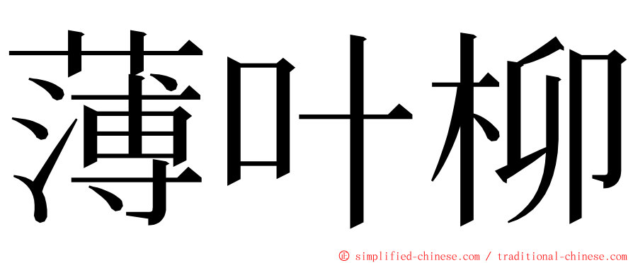 薄叶柳 ming font