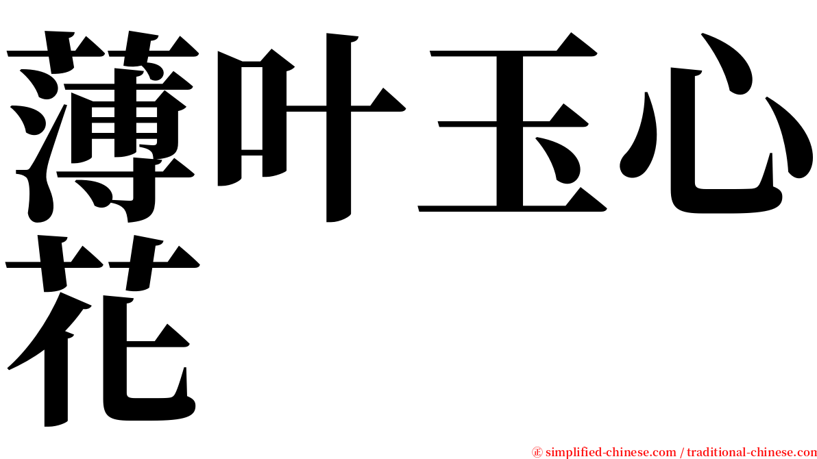 薄叶玉心花 serif font