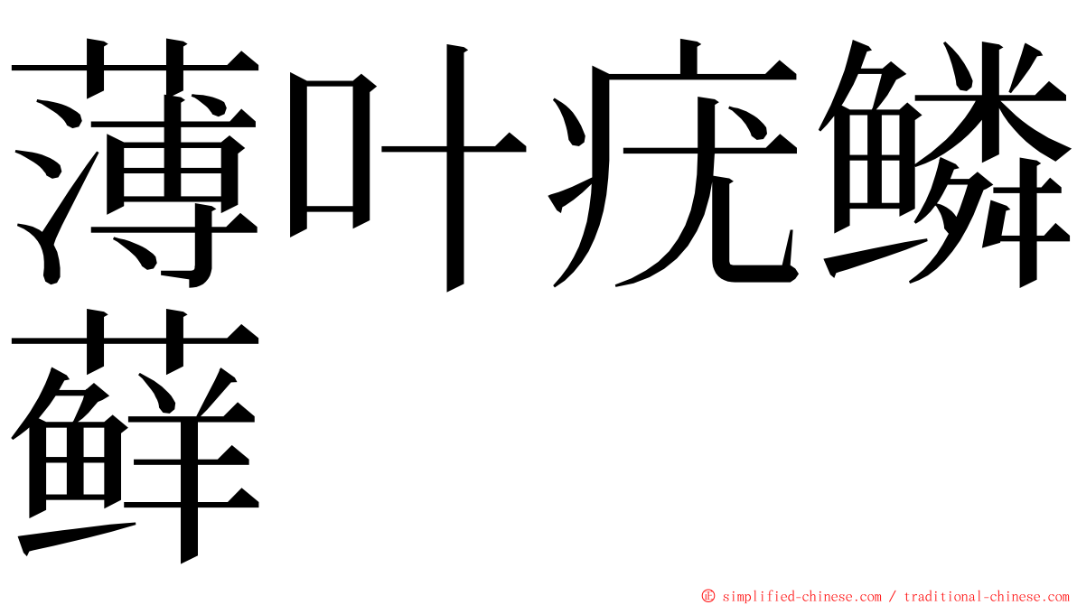 薄叶疣鳞藓 ming font