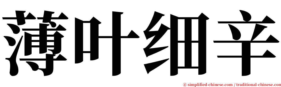 薄叶细辛 serif font