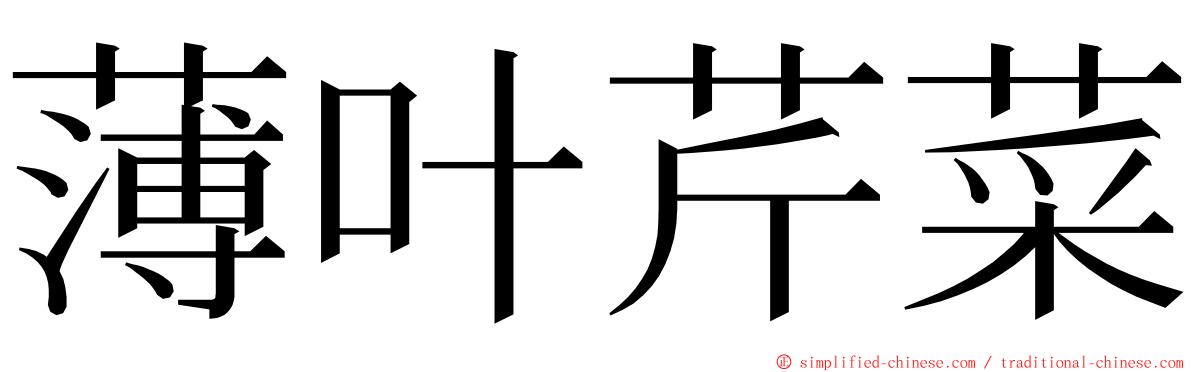 薄叶芹菜 ming font