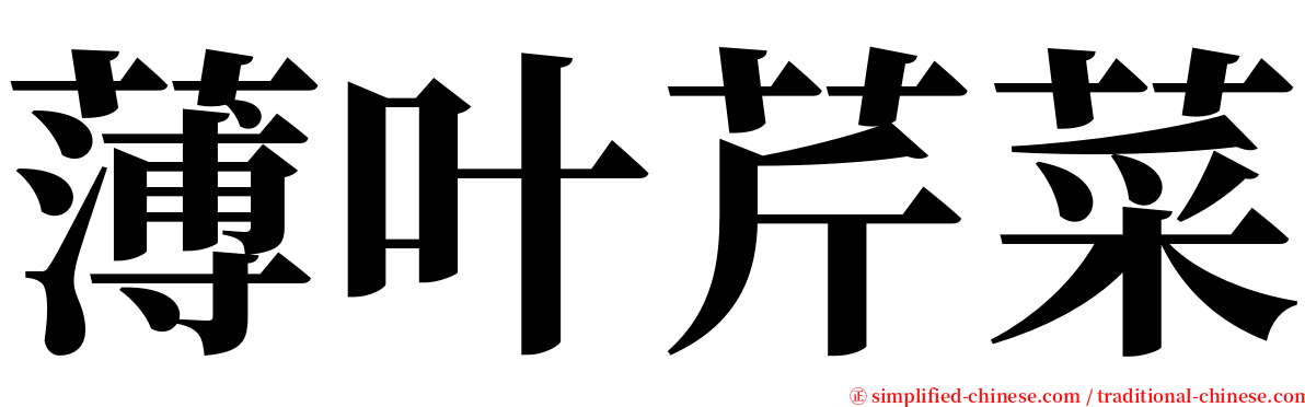 薄叶芹菜 serif font