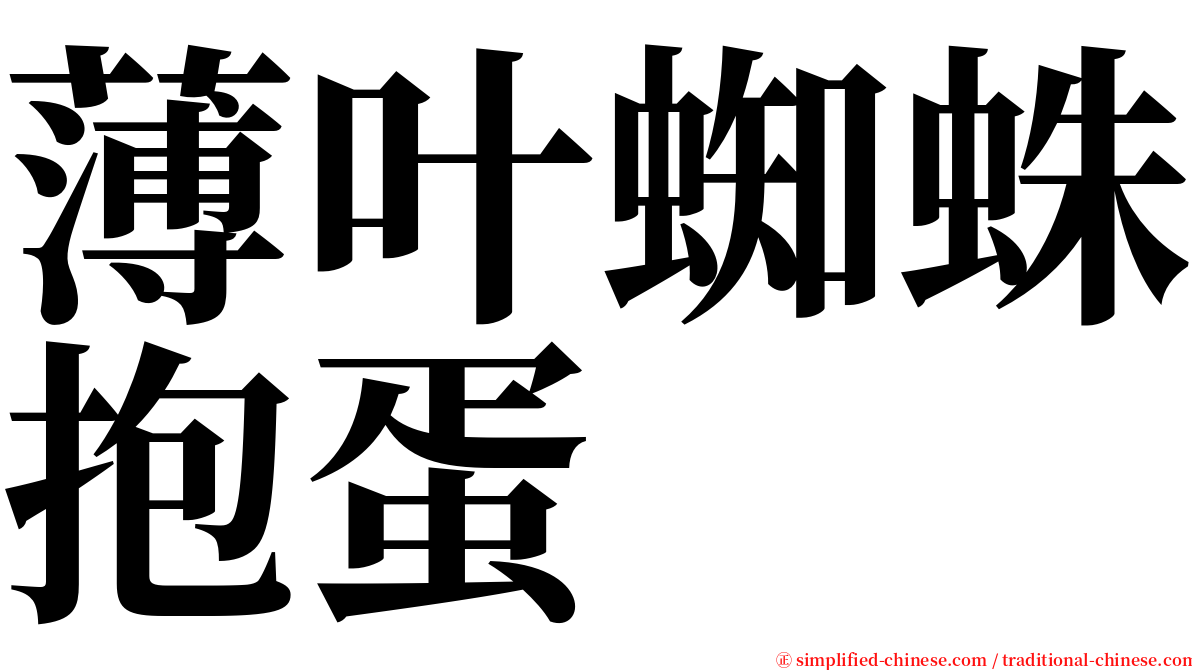 薄叶蜘蛛抱蛋 serif font