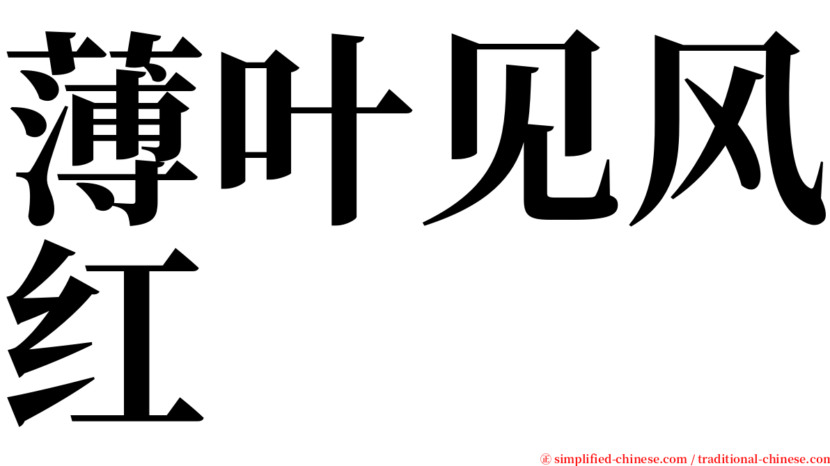 薄叶见风红 serif font