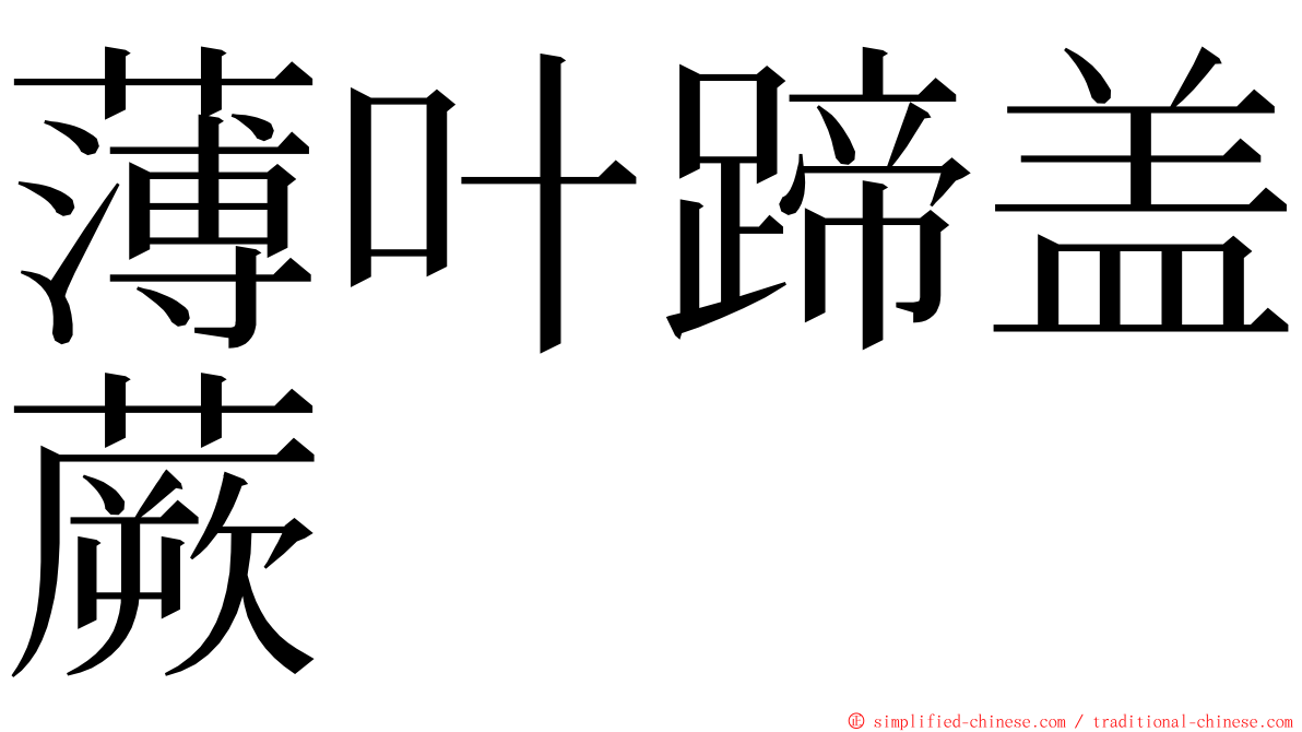 薄叶蹄盖蕨 ming font