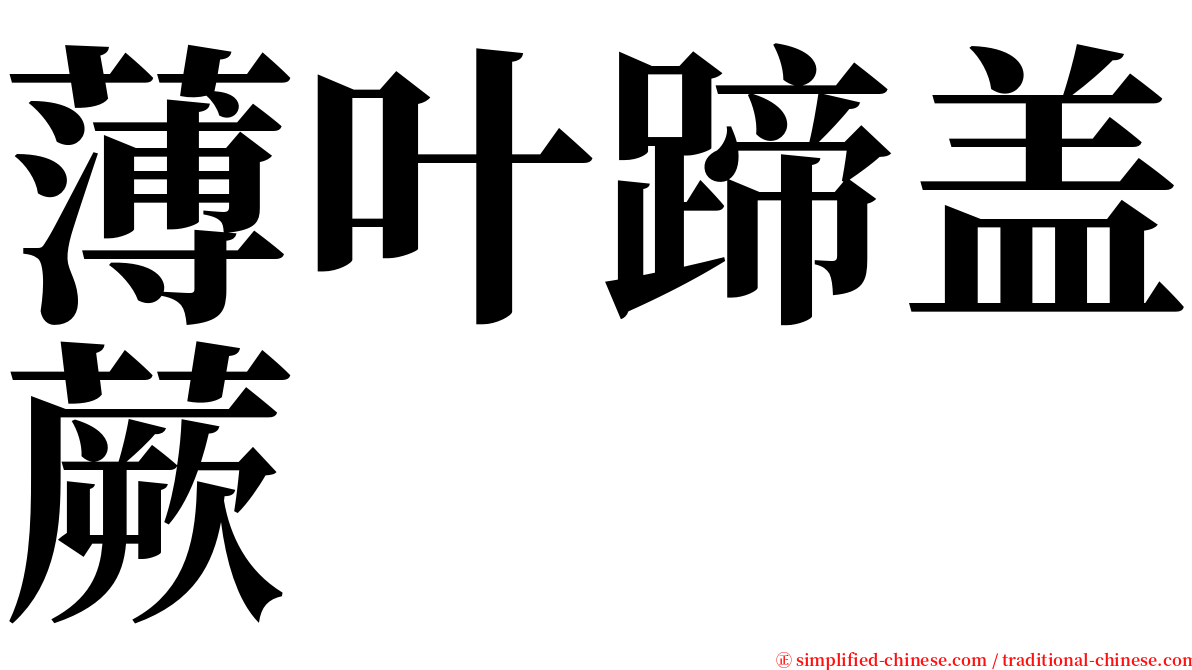 薄叶蹄盖蕨 serif font