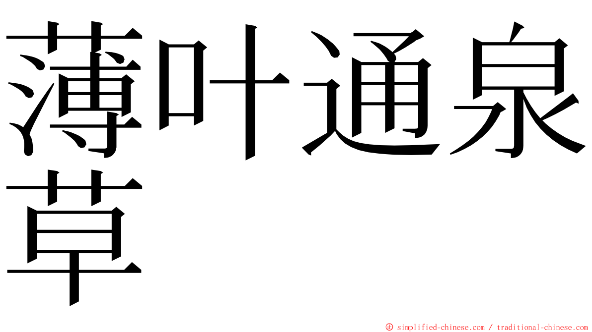 薄叶通泉草 ming font