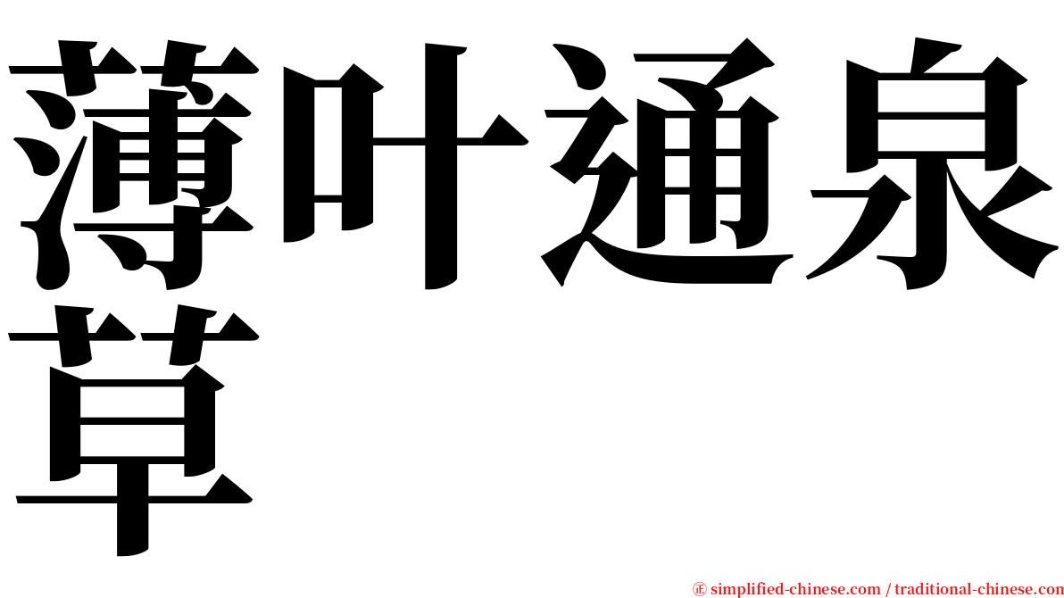 薄叶通泉草 serif font