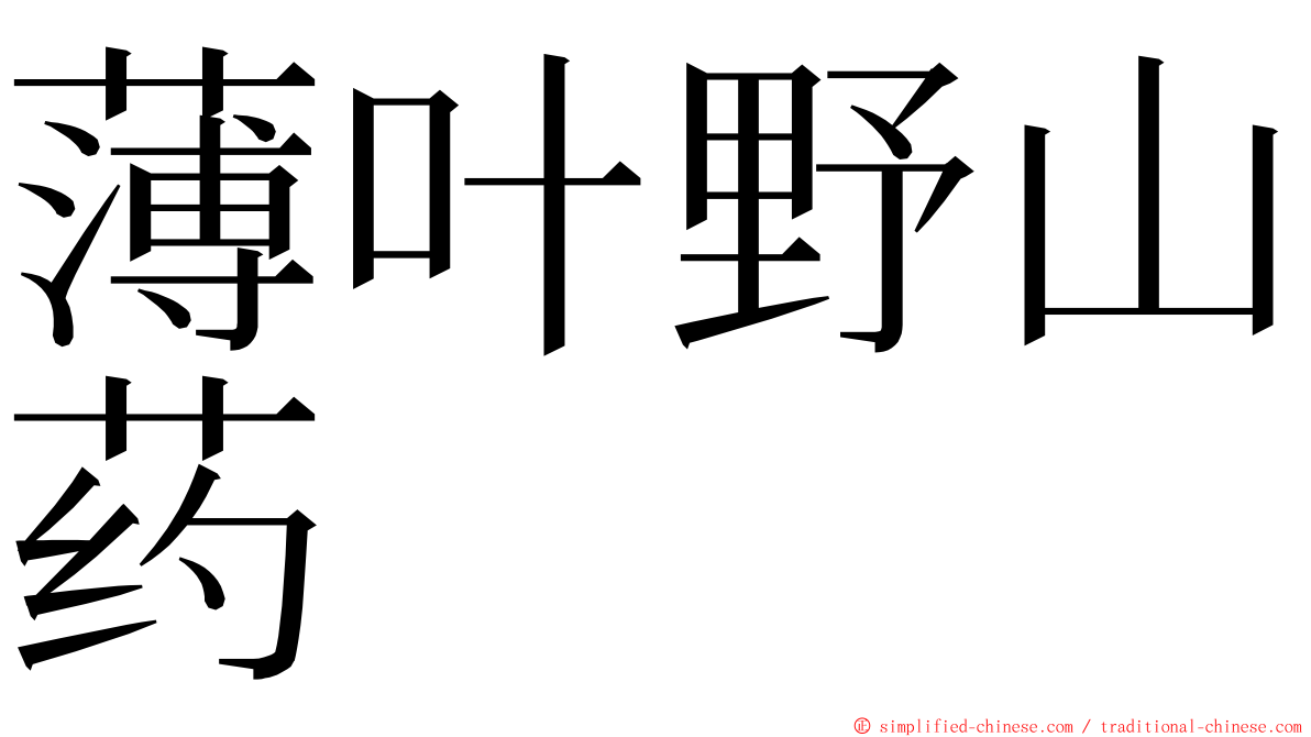 薄叶野山药 ming font