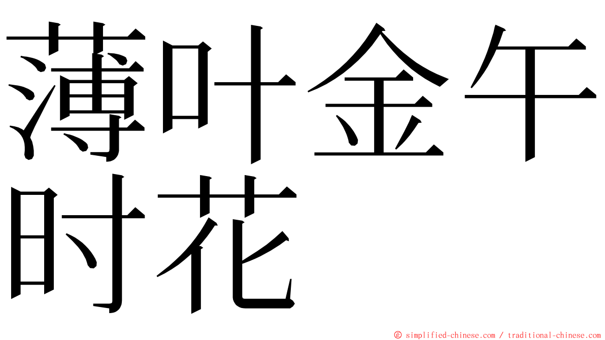 薄叶金午时花 ming font