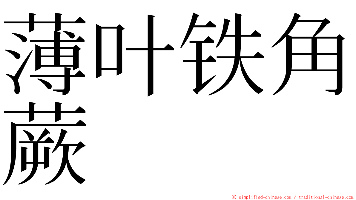 薄叶铁角蕨 ming font