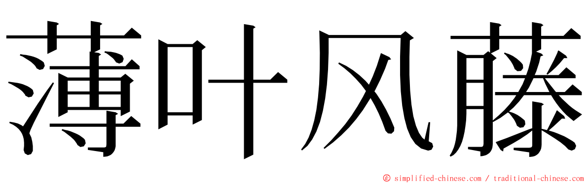 薄叶风藤 ming font