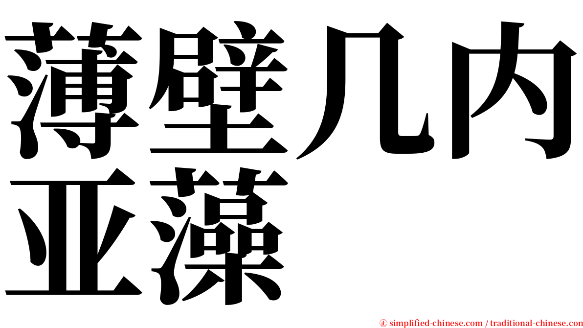 薄壁几内亚藻 serif font