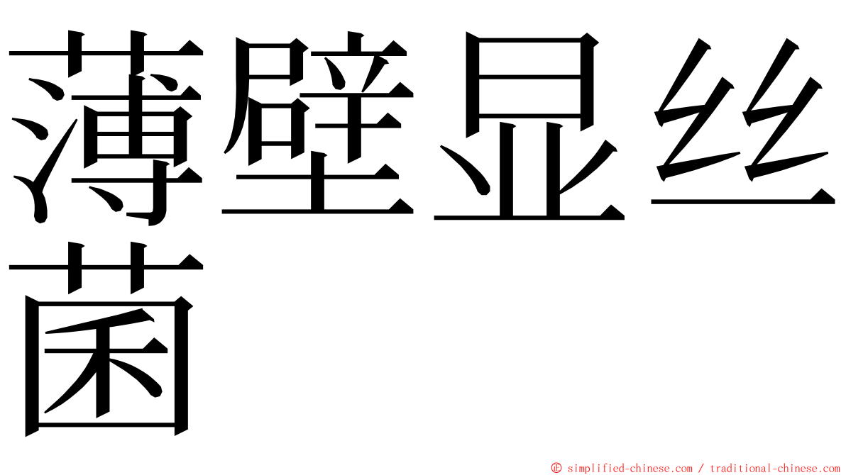 薄壁显丝菌 ming font