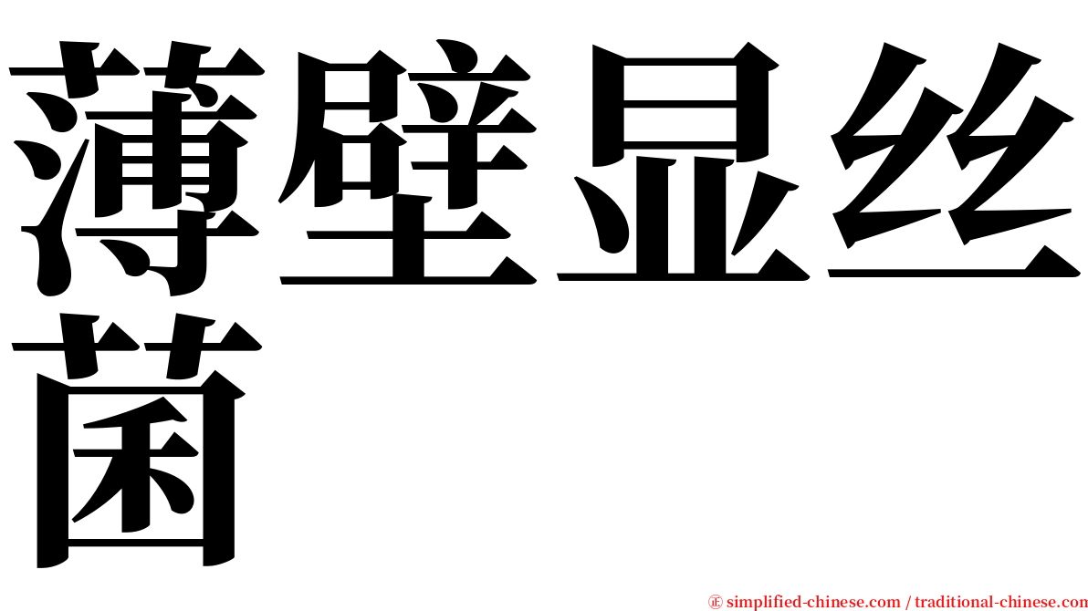 薄壁显丝菌 serif font