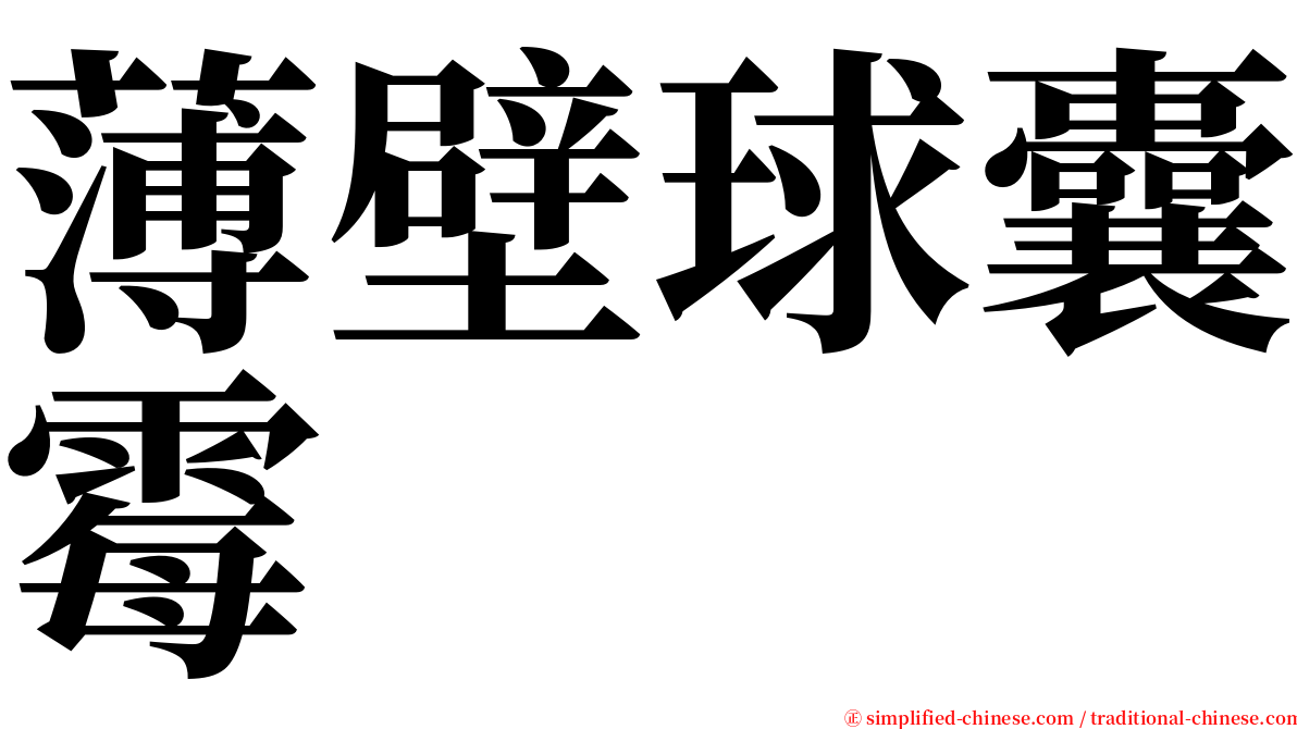 薄壁球囊霉 serif font