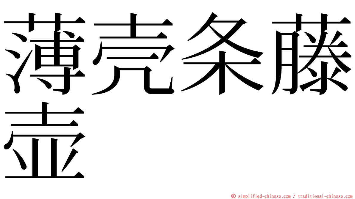 薄壳条藤壶 ming font