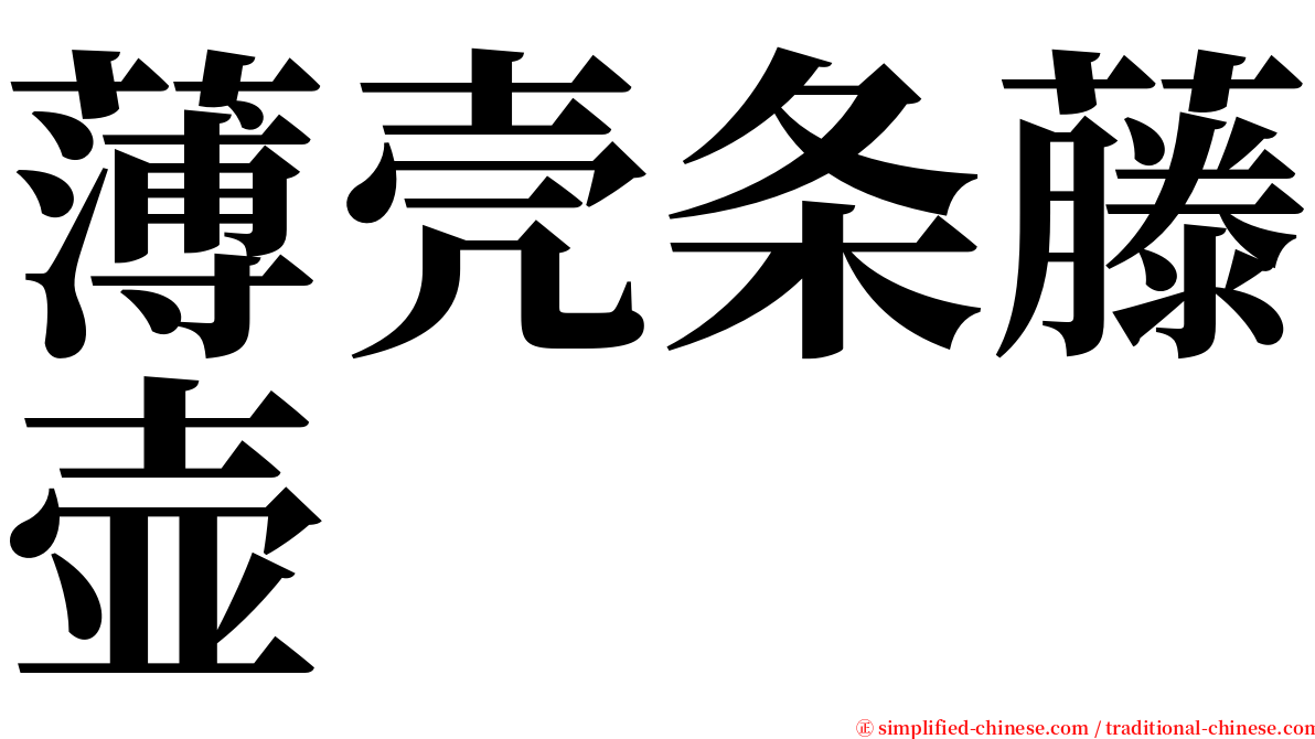 薄壳条藤壶 serif font